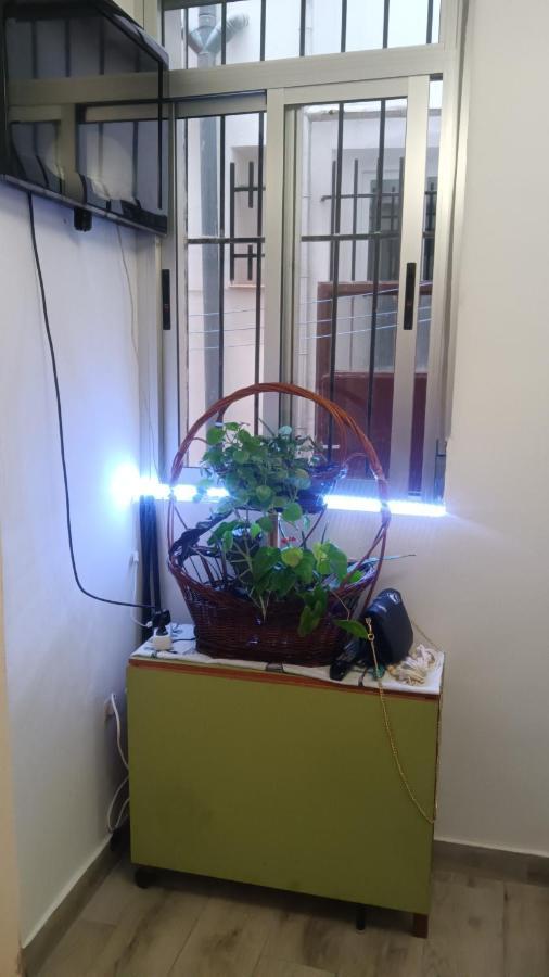 Apartamento Alicia Madrid Luaran gambar